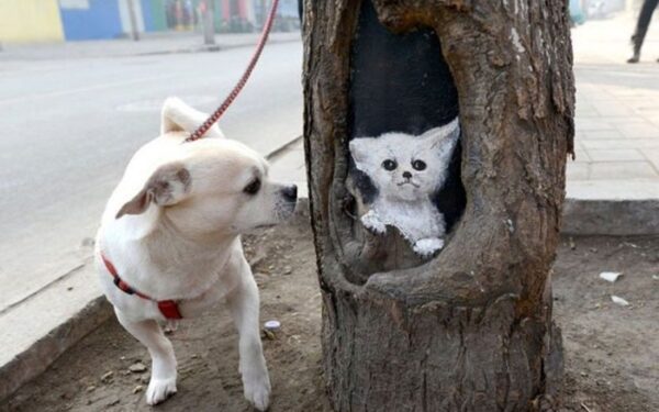 Dar šiek tiek gatvės meno – šį kartą labai teigiamo (foto)