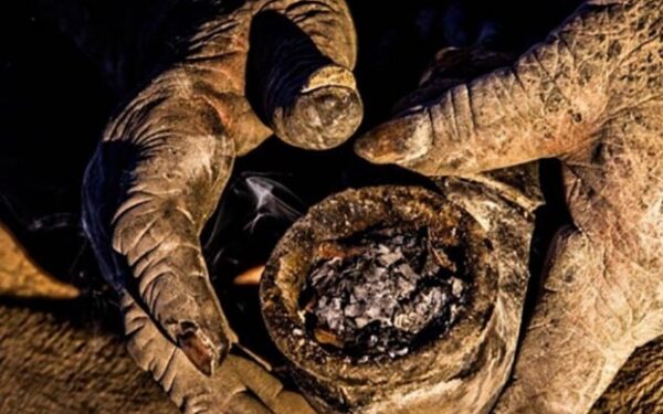 Kaip atrodo žmogus, kuris nesiprausė 60 metų ir rūko gyvūnų išmatas? (foto)