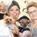 Šunų vestuvėms išleista 20 tūkst. svarų (Foto)