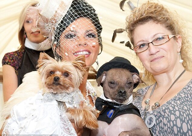 Šunų vestuvėms išleista 20 tūkst. svarų (Foto)