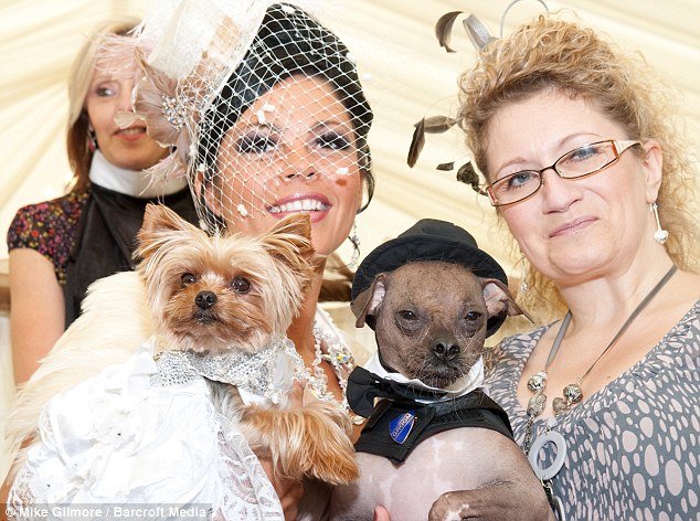 Šunų vestuvėms išleista 20 tūkst. svarų (Foto)