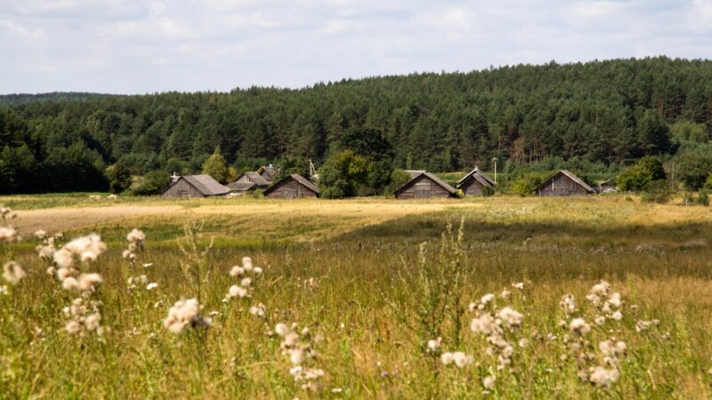 ,,Keliaukime kitaip!“ – Dieveniškių istorinis regioninis parkas