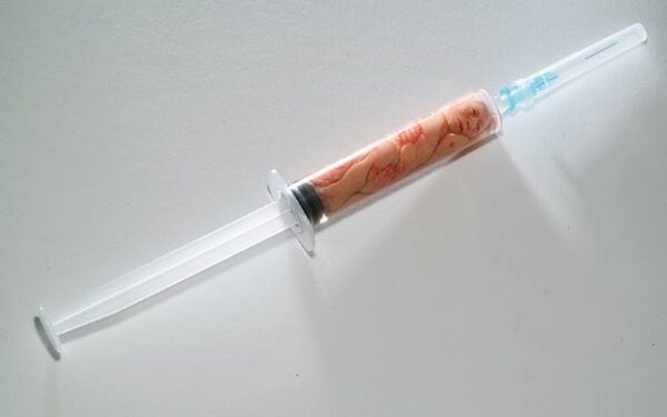 Korėjiečio skulptūros: niūri kasdienybė – į poetinį siaubą (foto)