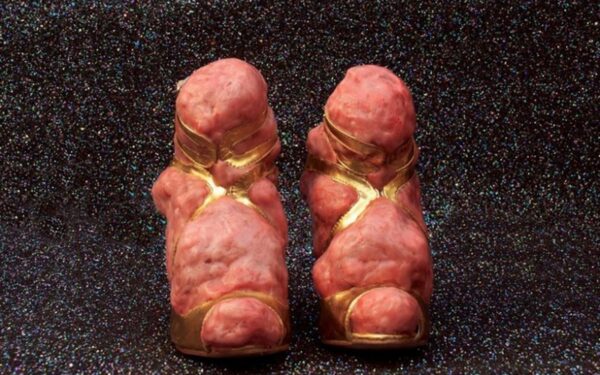 Gąsdinanti aukštoji mada (foto)