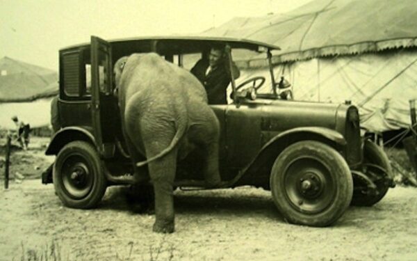 Juokas pro ašaras: nuotraukos, įrodančios, kaip pasikeitė mūsų pasaulis