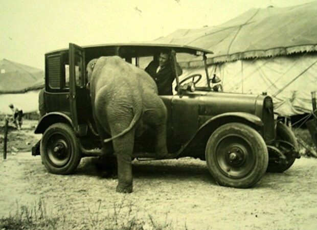 Juokas pro ašaras: nuotraukos, įrodančios, kaip pasikeitė mūsų pasaulis