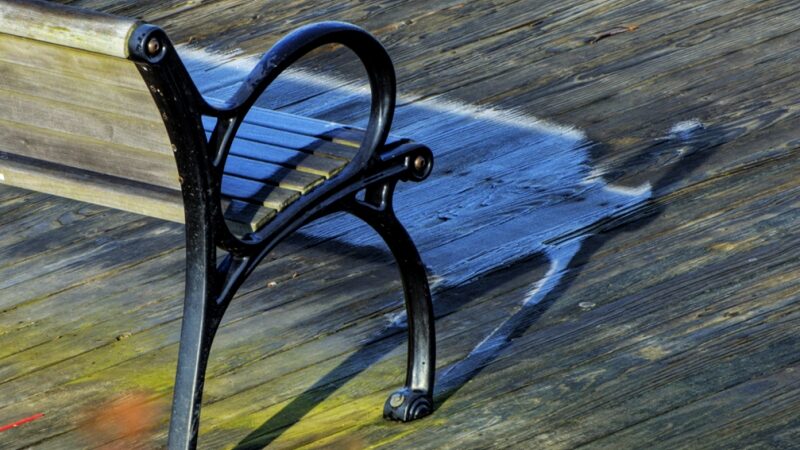 Įspūdingas gamtos reiškinys – šalčio šešėliai (foto)