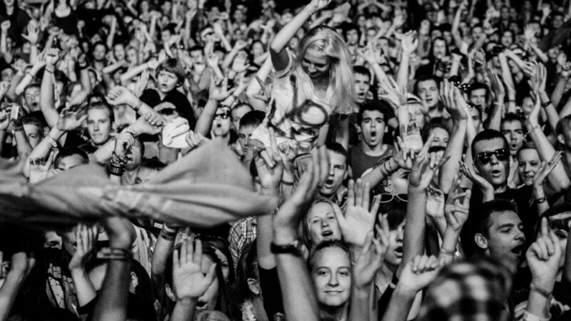 Į tris vasaros festivalius su vienu bilietu