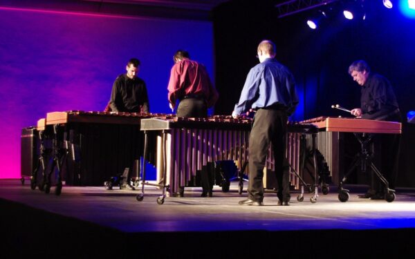 „Mes gyvename Reichiškame muzikos pasaulyje“ („Amadinda“ koncerto ŠMC apžvalga, foto, video)