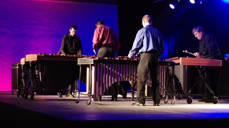 „Mes gyvename Reichiškame muzikos pasaulyje“ („Amadinda“ koncerto ŠMC apžvalga, foto, video)