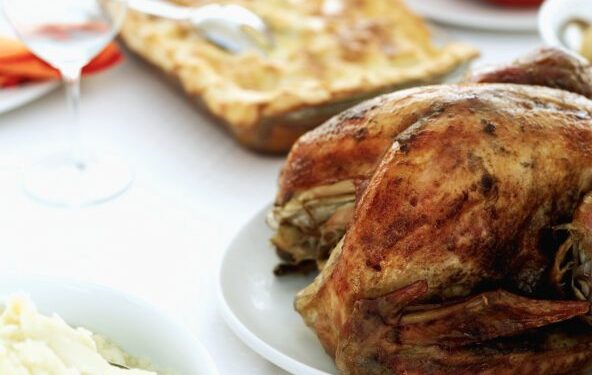 Viščiukas su vaisias