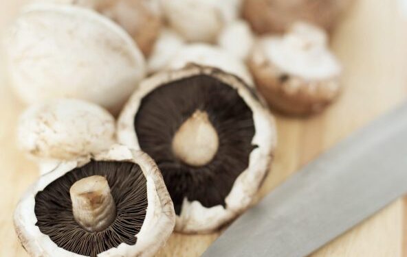 Pievagrybiai marškinėliuose