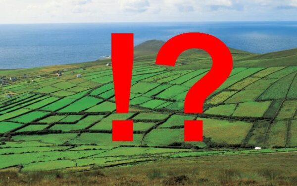 2050-ieji: kaip išmaitinsime 9 milijardus Žemės gyventojų?