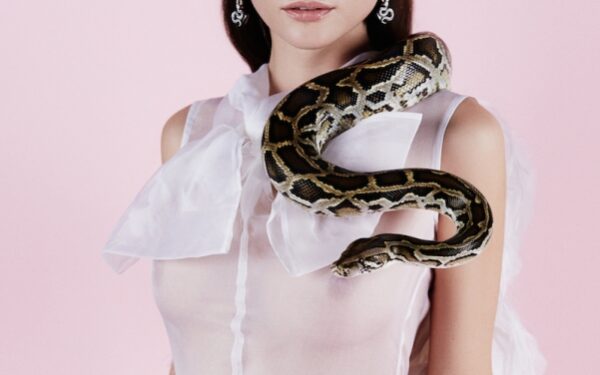 Užuominos į Dizainerio Roberto Kalinkino pavasario–vasaros kolekciją (foto)