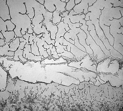 Ašarų topografija arba ašarų kuriamas menas (foto)