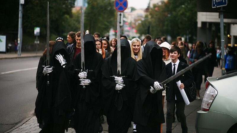 Vilniuje ir Kaune įvyko tarptautinis japonų kultūros festivalis „nowJapan‘13“