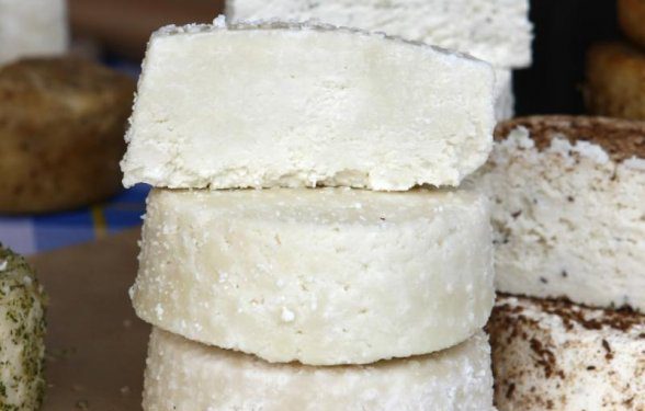 Baltasis varškės tinginys