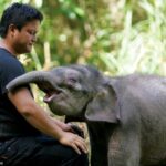 Liūdna našlaičio Borneo nykštukinio drambliuko Džo istorija