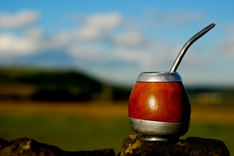 Indėnų gėrimas matė prieš kavą – kas sveikiau?