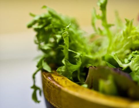 Salotos su grąžgarsčių lapais, krevetėmis ir kedrų riešutais