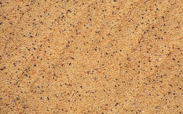 Karališka sorų košė