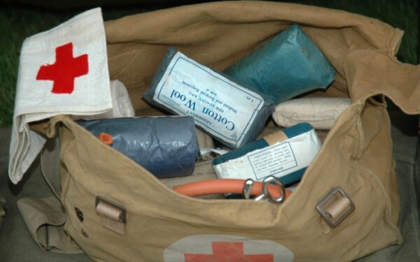 Japonijai aukoja ne tik pavieniai lietuviai, bet ir mokyklos