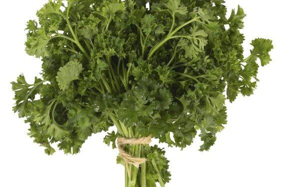 Mėsos suktinukai su žalumynų įdaru