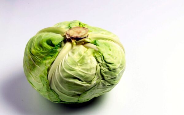 Kopūstų apkepas su malta mėsa