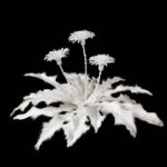 Stulbinamo grožio gėlės iš gyvūnų kaulų (foto)