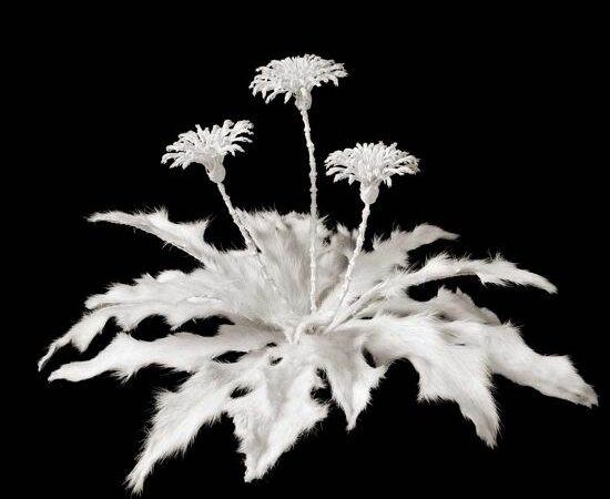 Stulbinamo grožio gėlės iš gyvūnų kaulų (foto)