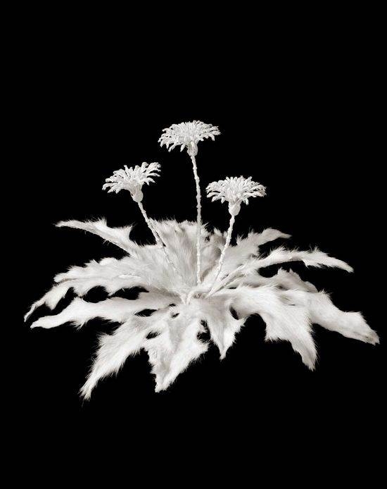 Stulbinamo grožio gėlės iš gyvūnų kaulų (foto)