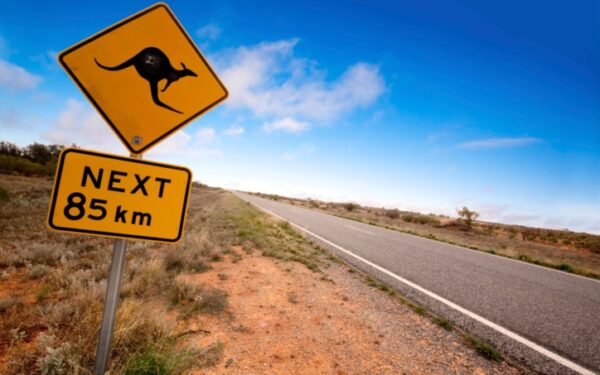Australija. Kur kengūrų dvigubai daugiau nei žmonių