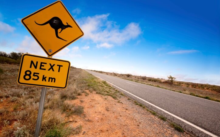 Australija. Kur kengūrų dvigubai daugiau nei žmonių