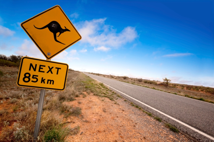 Australija. Kur kengūrų dvigubai daugiau nei žmonių