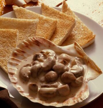 Su šonine ir grietinėle troškinti grybai