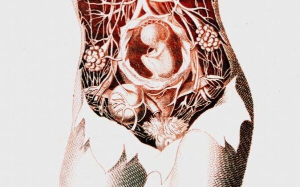 D. Britanijoje siekiama leisti moteriai nutraukti nėštumą pačiai (video)