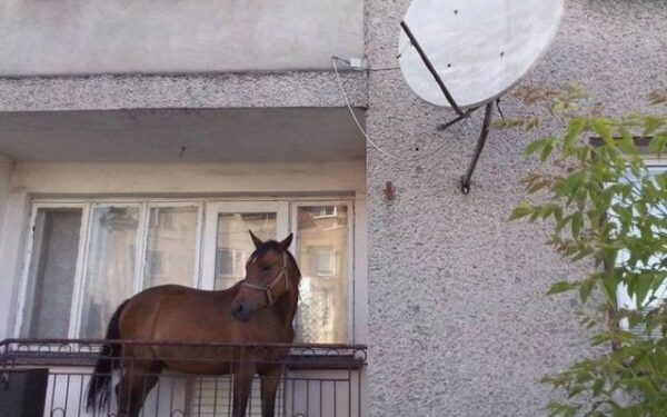 Linksma ekskursija po Rusijos realybę (VI dalis, foto)