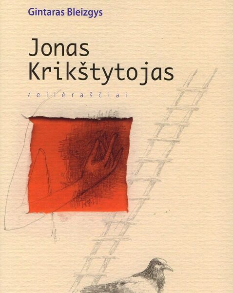 Geriausių metų knygų TOP: 4 vieta