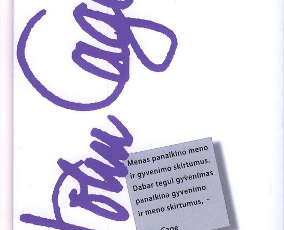 Geriausių metų knygų TOP: 2 vieta