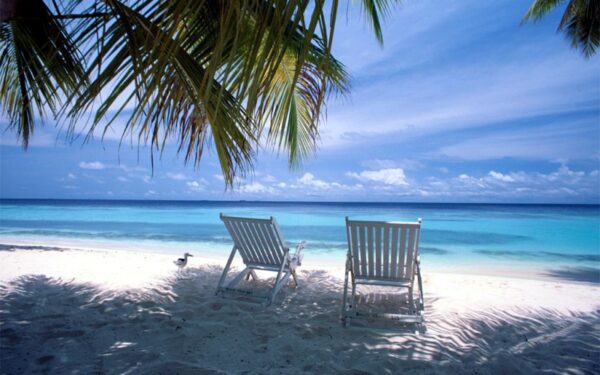 Perpus pigesnė kelionė? Įmanoma!