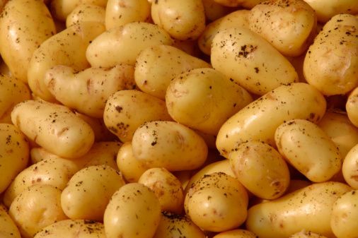 Bulvės prancūziškai