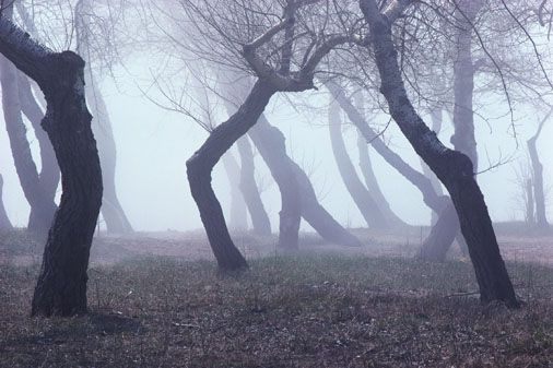 Okultizmo praktikos sėkmingai žlugdančios sąmoningumą