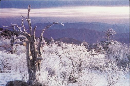 Rusijos meteorologai ragina ruoštis šaltai žiemai