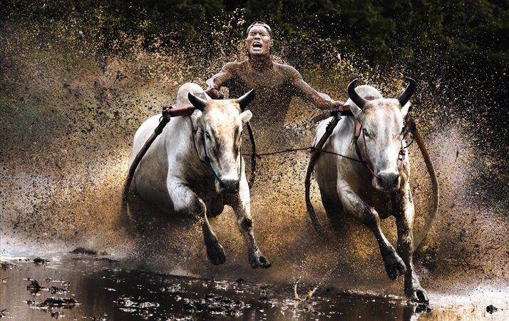 Išrinkti „Sony World Photography   Awards 2011 Open“ nugalėtojai (Foto)