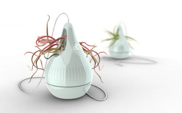 Jaunųjų dizainerių idėjos: nuo „kvėpuojančios“ sienos iki „plokščios“ virtuvės (foto)