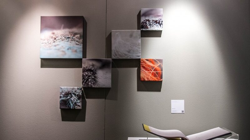 Europą apkeliavusioje airių parodoje – ir lietuvės fotografijos