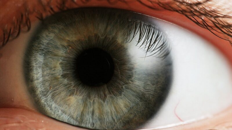 Mokslininkai gali nustatyti seksualinę orientaciją pagal akis
