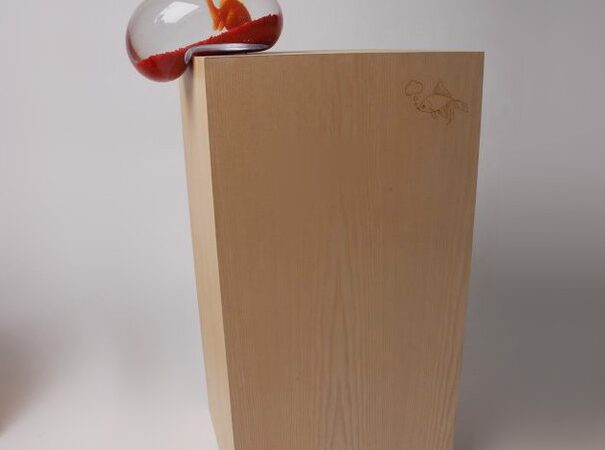 Daiktų pusryčiai. Atsargiai – akvariumas!