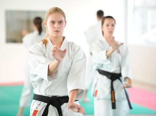 18-metė lietuvaitė pakviesta į pasaulio tradicinio karate taurės varžybas