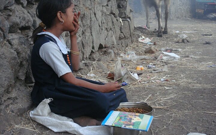 8 netikėti faktai apie Indijos lūšnynus